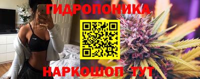 винт Кохма