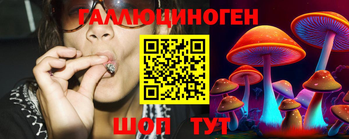 Галлюциногенные грибы мухоморы  Псилоцибиновые грибы Psilocybe  Пенза  дарнет шоп  Вход с VPN 