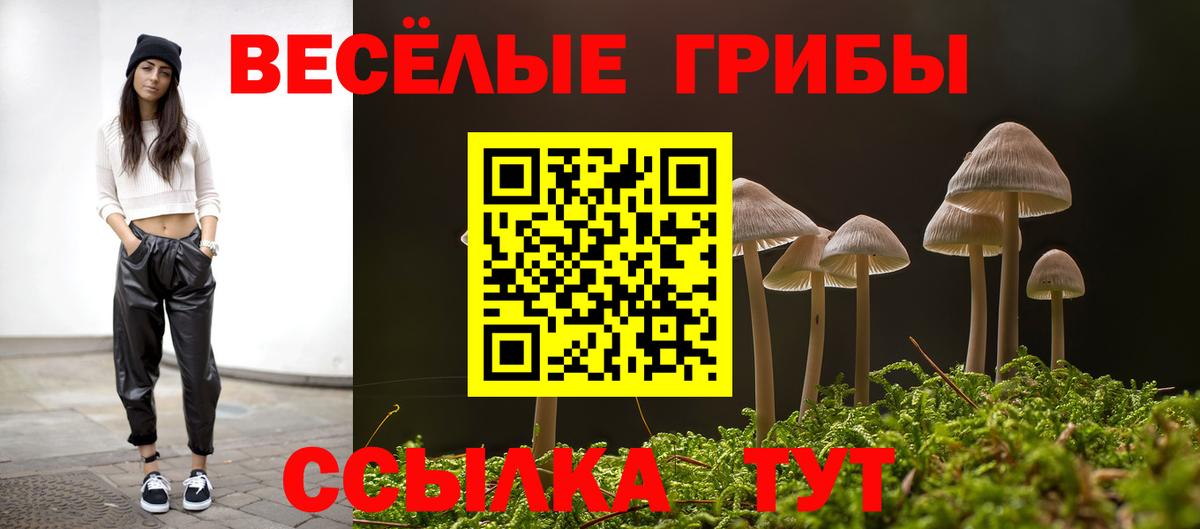 Псилоцибиновые грибы мицелий Пенза